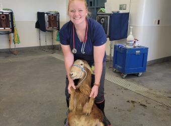 Vet Student Joins Us For Her Externship from RUSVM